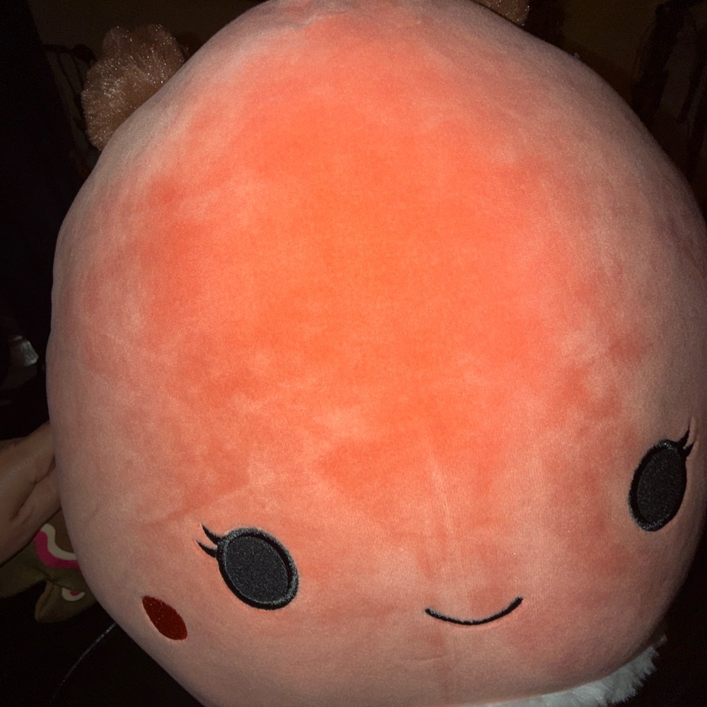 Kellytoy Squishmallows Mirren The Red Moth Large Plush 16" Rare Collectible NWT - Picture 9 of 14